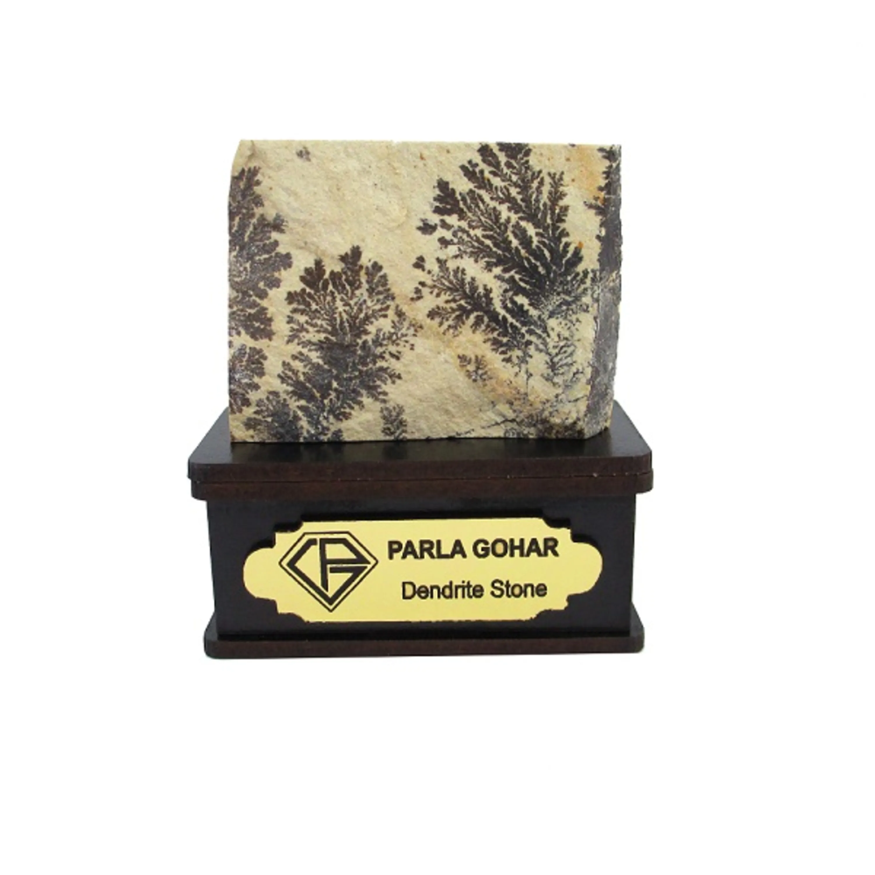 شجر راف کد 2330